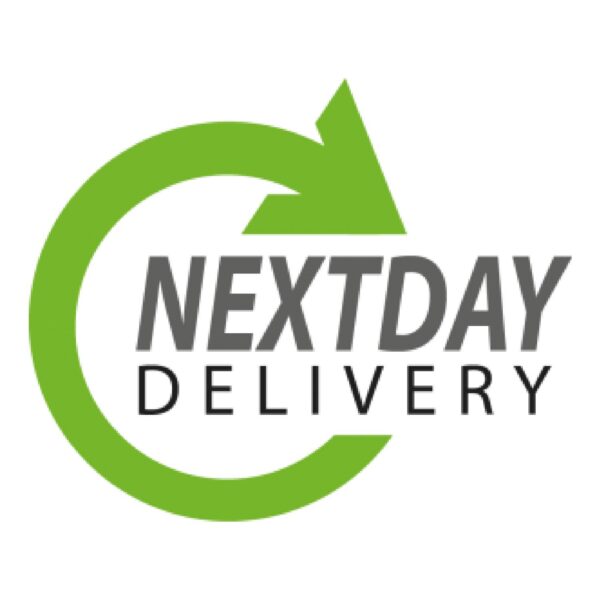 Next day Delivery Logo