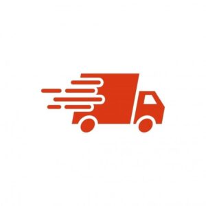 Delivery logo