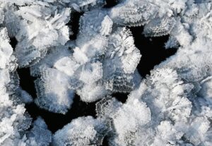 Understanding Blast Chillers