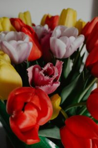 Happy Mother’s Day