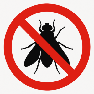 Warm Weather, Unwanted Guests