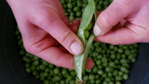 Great British Pea Week 2025