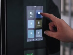 Go Green This St Patrick’s Day