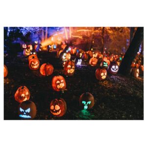 Halloween. Bonfire Night. Two big occasions, one busy week.